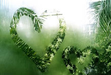 欧冠1/8决赛次回合：亚特蘭(lán)大 vs 多特蒙德