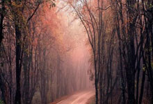 斯洛(luò)特：欧冠小组赛充满挑战又令人兴奋 这就是欧冠赛事(shì)的含(hán)金量