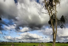 今(jīn)晨欧冠(guān)联赛上演进球盛宴(yàn)