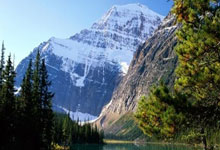 欧冠联赛阶段第4轮本菲卡坐镇光明(míng)球场迎战勒沃库森